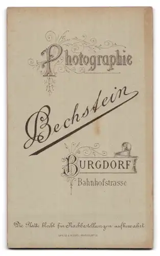 Fotografie L. Bechstein, Burgdorf, Portrait Herr in Anzug