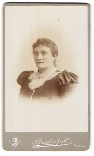 Fotografie A. Jandorf & Co., Berlin, Portrait Dame mit zusammengebundenem Haar