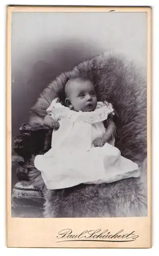 Fotografie Paul Schückert, Berlin-Charlottenburg, Portrait niedliches Baby im weissen Kleid auf Fell sitzend