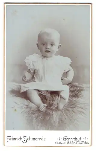 Fotografie Heinrich Schmorrde, Herrnhut, Portrait niedliches Kleinkind im weissen Kleid auf Fell sitzend