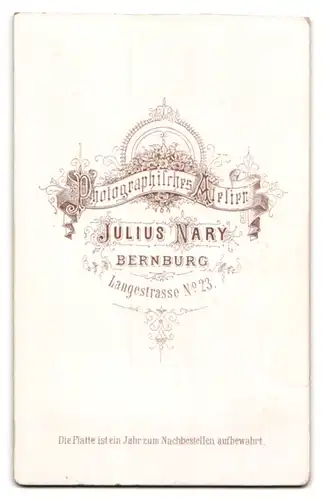 Fotografie Julius Nary, Bernburg, Portrait hübsche Dame mit Schleife am Kleiderkragen