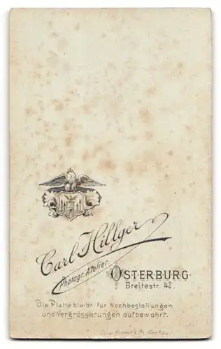 Fotografie Carl Hillger, Osterburg, Portrait hübsche Dame mit Brosche am Blusenkragen