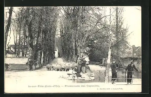 AK Is-sur-Tille, Promenade des Capucins, Schäfer mit Herde im Dorf