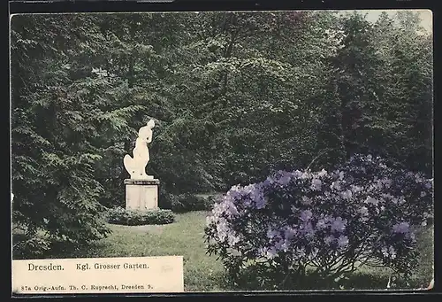 AK Dresden, Königlicher Grosser Garten
