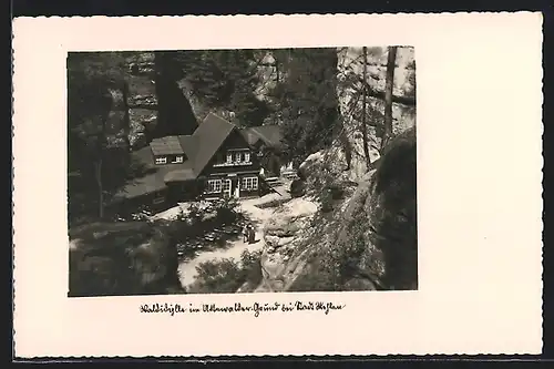 AK Wehlen, Waldgasthaus im Unterwalder-Grund