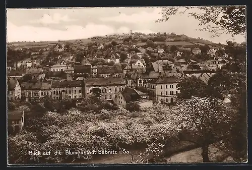 AK Sebnitz i. Sa., Teilansicht