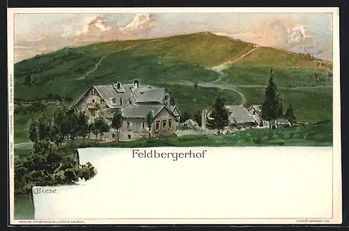 Künstler-AK C.Biese: Feldberg, Ansicht des Feldberghofs