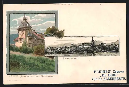 Künstler-AK Carl Biese: Radolfzell, Teilansicht, Scheffelvilla: Seehalde