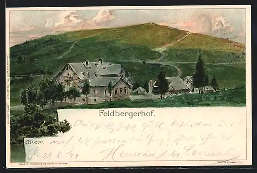 Künstler-AK C.Biese: Feldberg, Ansicht des Feldberghofs
