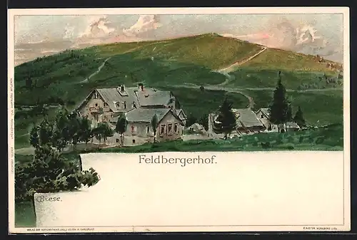 Künstler-AK C.Biese: Feldberg, Ansicht des Feldberghofs