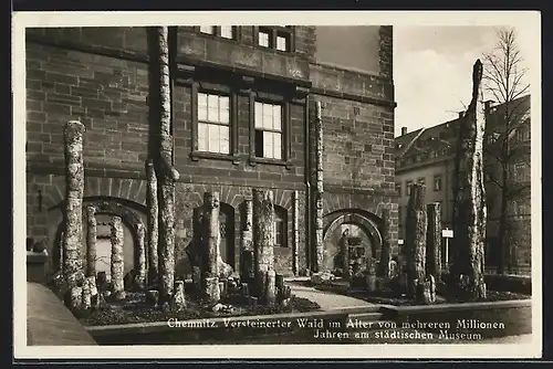 AK Chemnitz, Versteinerter Wald am städtischen Museum