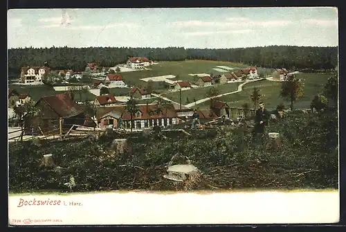 AK Bockswiese, Gesamtansicht