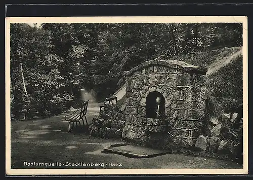 AK Stecklenberg /Harz, Blick auf die Radiumquelle