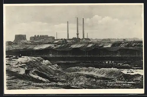 AK Bitterfeld, Tagebau Grube Leopold, Braunkohlenindustrie