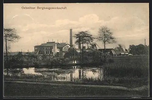 AK Oelsnitz /Erzgeb., Bergbaugewerkschaft mit Teich, vom Wegesrand gesehen