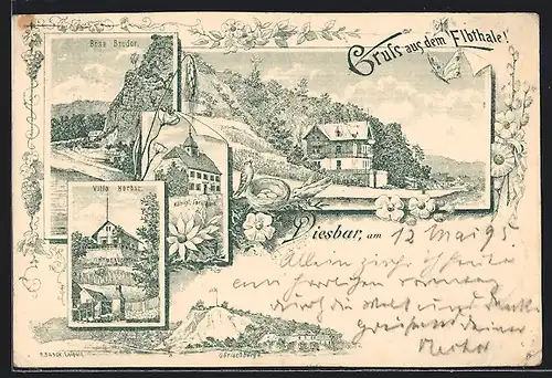 Vorläufer-Lithographie Diesbar, 1895, Villa Herbst, Böse Bruder, Königl. Forsthaus