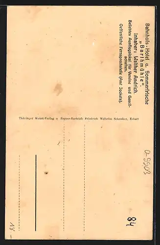 AK Barthmühle / Vogtl. Schweiz, Partie am Bahnhofshotel, Elsterbrücke, Bahnhof