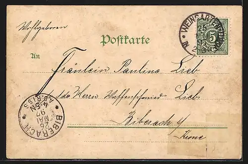 Lithographie Weingarten, Ortsansicht über die Dächer mit Bergen