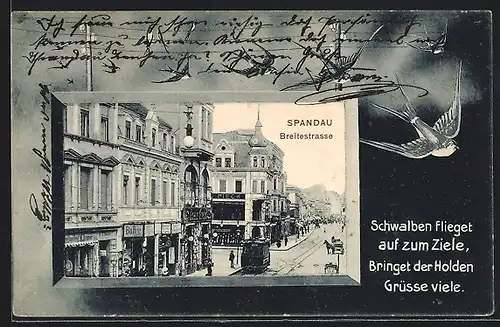 Passepartout-AK Berlin-Spandau, Breitestrasse mit Strassenbahn aus der Vogelschau, Schwalben