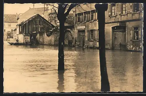 Foto-AK Heidelberg, Hochwasser 1914 - Strassenpartie mit Boot und Bäumen vor dem Gesundheitsamt