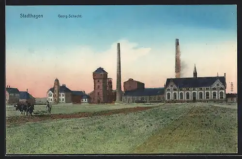 AK Stadthagen, Georg-Schacht, Panorama mit pflügendem Bauern