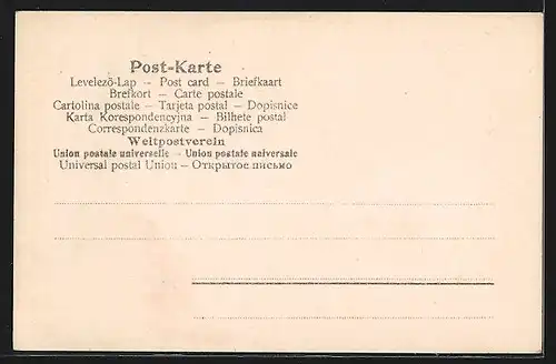 AK Opernsängerin Geraldine Farrar am Klavier