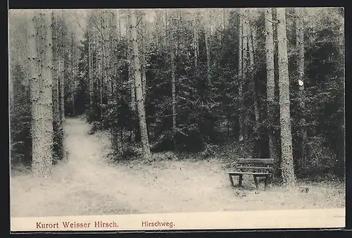 AK Weisser Hirsch, Am Hirschweg