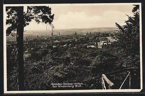 AK Dresden-Weisser Hirsch, Ansicht vom Hindenburg Blick