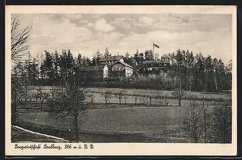 AK Dresden-Pillnitz, Gasthaus Bergwirtschaft Borsberg