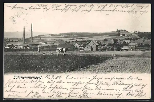 AK Salzhemmendorf, Panorama des Ortes
