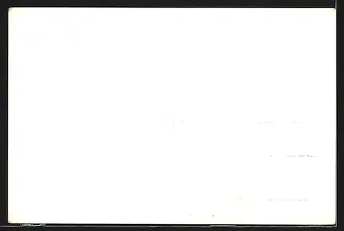 AK Palma /Mallorca, La Catedral