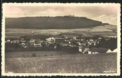AK Manetin, Panorama