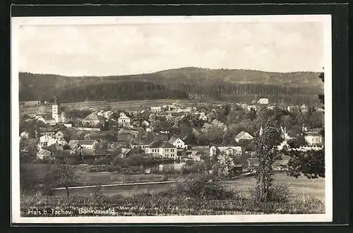 AK Hals / Böhmerwald, Panorama