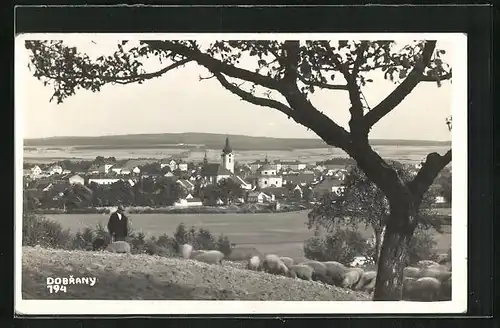 AK Dobrany, Totalansicht der Ortschaft