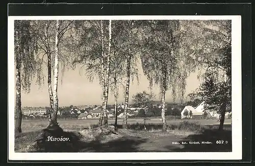 AK Mirosov, Waldpartie mit Blick zum Ort