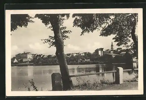 AK Planá u Mariánských Lázní, Waldwegpartie mit Blick zum Ort