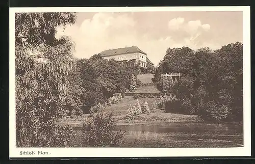 AK Plan, Waldpartie mit Blick zum Schloss