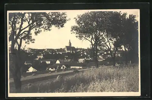 AK Mies / Böhmerland, Feldpartie mit Blick zum Ort