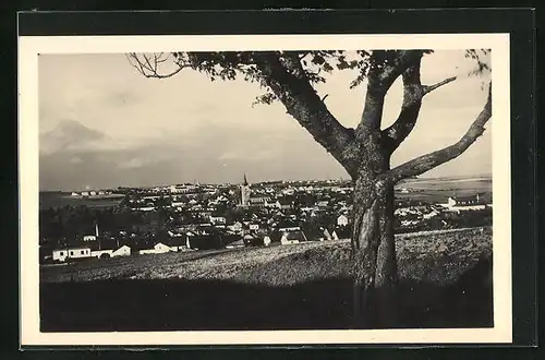 AK Tachov, Gesamtansicht