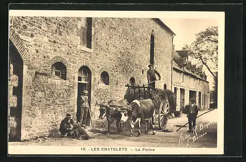 AK Les Chatelets, La Ferme, Gutshof