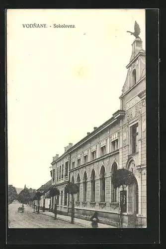 AK Vodnany, Sokolovna, Turnhalle