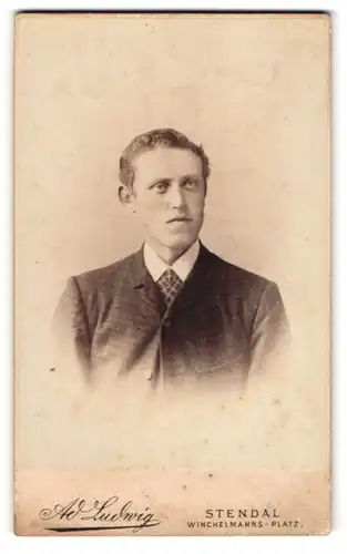 Fotografie Ad. Ludwig, Stendal, Portrait junger Herr im Anzug mit Krawatte