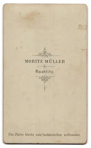 Fotografie Moritz Müller, Rochlitz, Portrait stattlicher Herr mit Krawatte und Schnurrbart