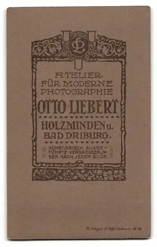 Fotografie Otto Liebert, Holzminden, Portrait älterer Herr im Anzug mit Fliege und Schnurrbart