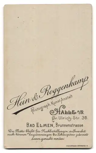 Fotografie Hein & Roggenkamp, Halle a / S., Portrait bürgerliche Dame im bestickten Kleid