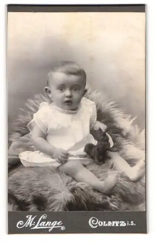 Fotografie M. Lange, Colditz i. S., Portrait niedliches Kleinkind im weissen Hemd mit Spieltier auf Fell sitzend