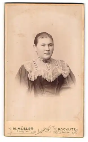 Fotografie M. Müller, Rochlitz, Portrait junge Dame mit zurückgebundenem Haar