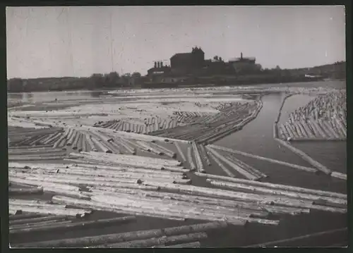 Fotografie Holzstoss auf einem Fluss, Flösser, Forstwirtschaft, Sägewerk