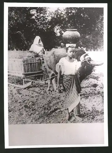 Fotografie Landbevölkerung auf den Philippinen, Bäuerin und Tochter mit Büffelschlitten
