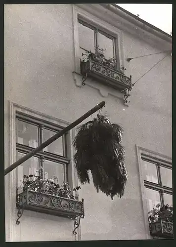 Fotografie Ansicht Wien, Haus geschmückt mit Kiefernnadeln